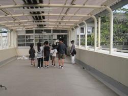 IMG_0717.JPG