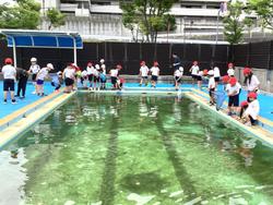 IMG_0856.jpeg