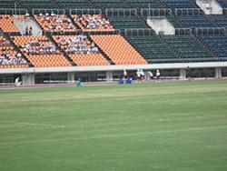 IMG_1217.JPG