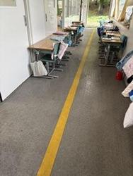 IMG_7373.jpeg