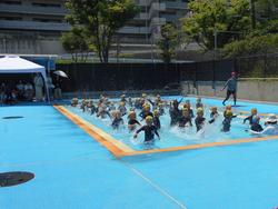 DSCN6313.JPG