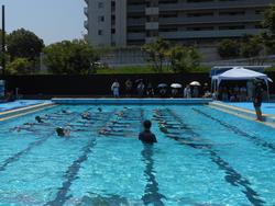 DSCN6315.JPG