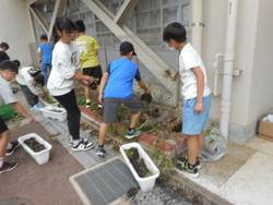 DSCN4922.JPG