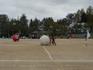 DSCN7682.JPG