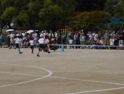 DSCN3719.JPG