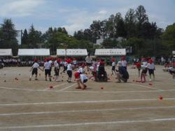 DSCN3786.JPG