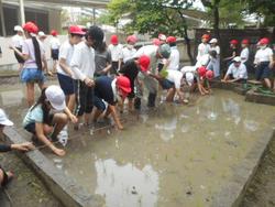DSCN4580.JPG