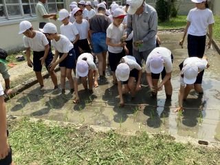 ７月１日５年生田植え.jpg
