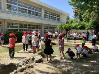 5月18日ビオトープ.jpg