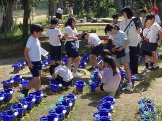 ５月２５日３年生理科.jpg