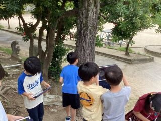８月２９日３年生　理解.jpg