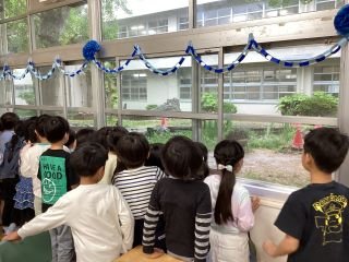 ５月２日アオサギ.jpg