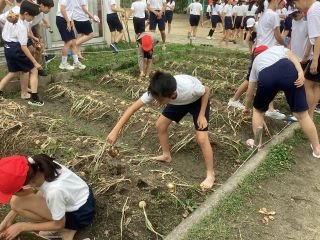 ６月５日６年生特活.jpg