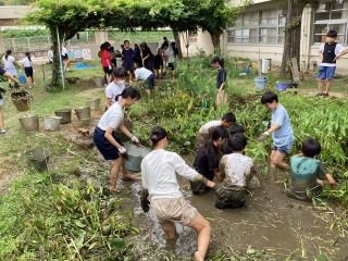 ９月２５日　ビオトープ改修.jpg