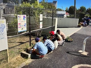 IMG_7197.jpg