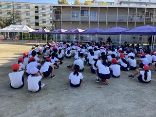 IMG_2468.jpeg