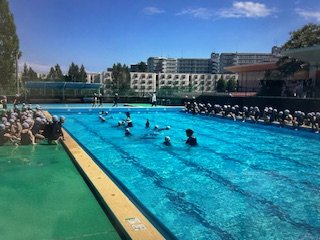 IMG_6819.jpg