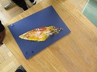 IMG_7956.jpg