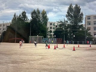 IMG_7238.jpg