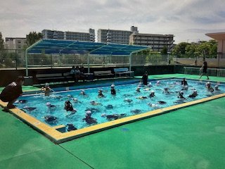 IMG_6763.jpg