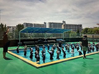 IMG_6762.jpg