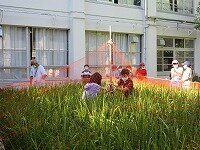 IMG_7209.jpg