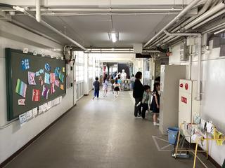 IMG_1943.jpeg