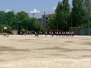 IMG_1964.jpeg