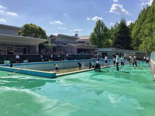 IMG_1965.jpeg