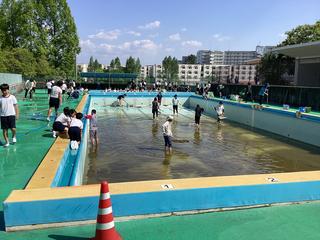 IMG_1966.jpeg