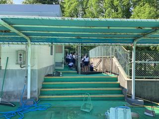 IMG_1967.jpeg