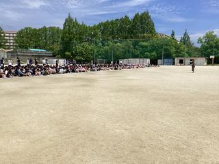 IMG_1972.jpeg
