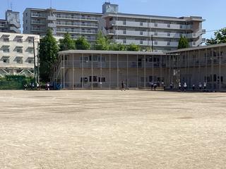 IMG_1974.jpeg