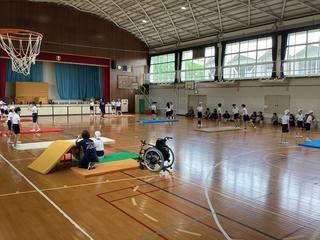 IMG_2046.jpeg