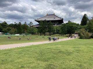 IMG_2107.jpeg
