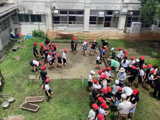 IMG_2141.jpeg