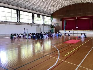 IMG_2176.jpeg