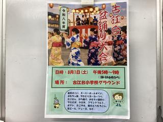 IMG_2234.jpeg