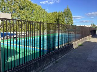 IMG_2248.jpeg
