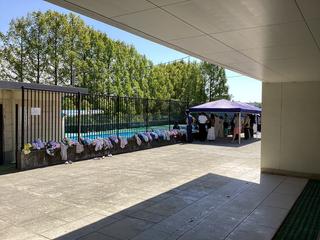 IMG_2273.jpeg