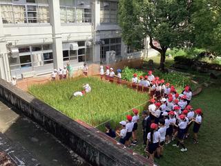IMG_2345.jpeg