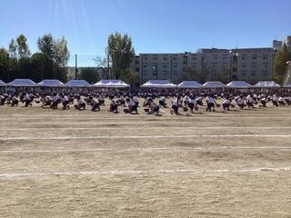 IMG_2472.jpeg