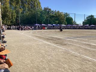 IMG_2473.jpeg