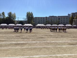 IMG_2479.jpeg