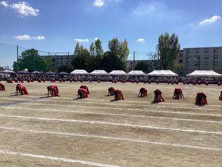 IMG_2485.jpeg