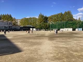 IMG_2498.jpeg
