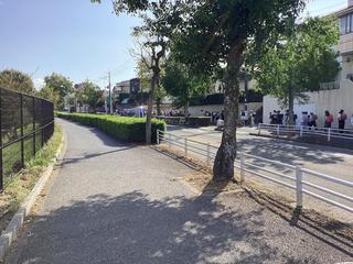 IMG_2539.jpeg
