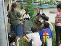 IMG_2663.JPG