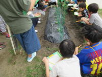 IMG_2665.JPG