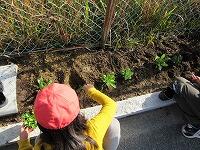 IMG_5661.jpg